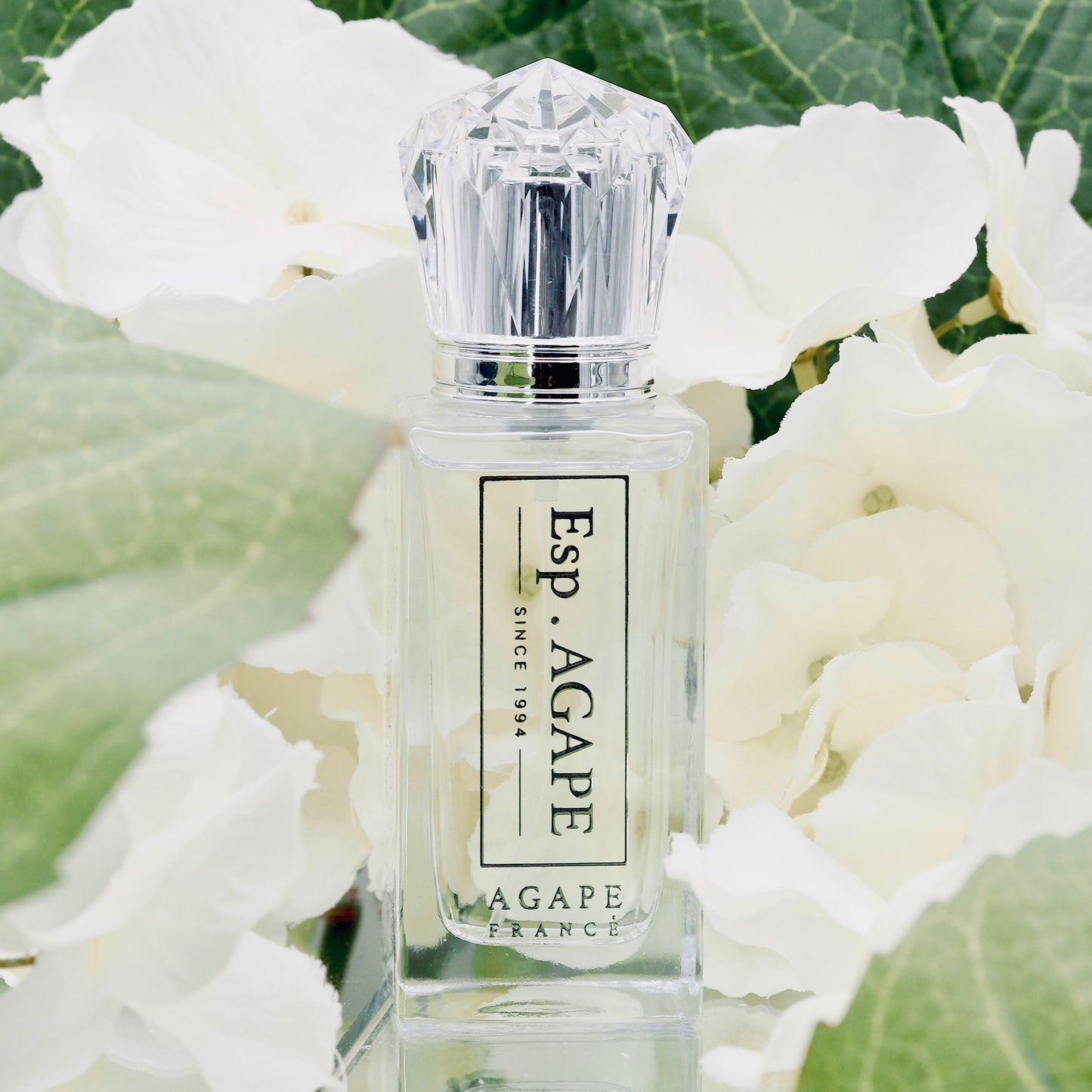 AGAPE White Champak 白蘭花法國香水 | BEST SELLER