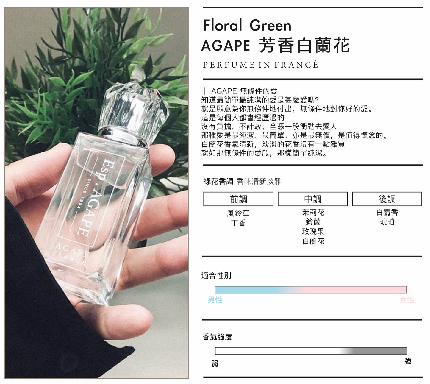 AGAPE White Champak 白蘭花法國香水 | BEST SELLER
